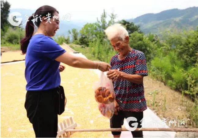 碧绿乌江映彩霞——记沿河县团结街道杨柳池村扶贫干部刘碧霞