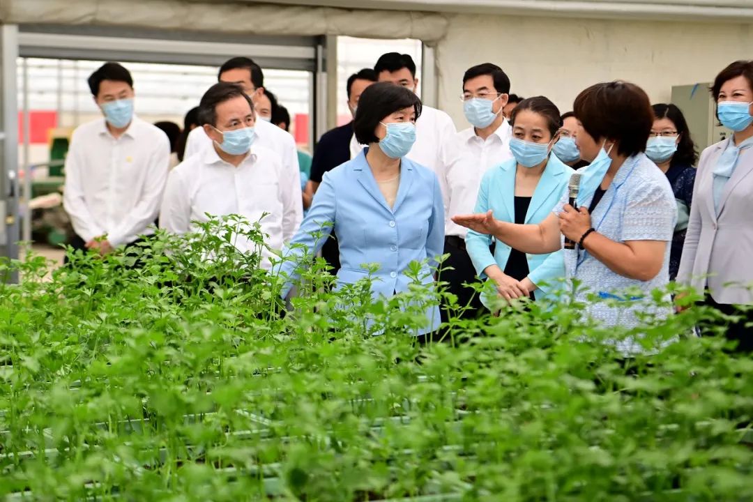 沈跃跃：深入学习贯彻习近平总书记重要讲话精神 在防住疫情稳住经济安全发展中贡献巾帼力量