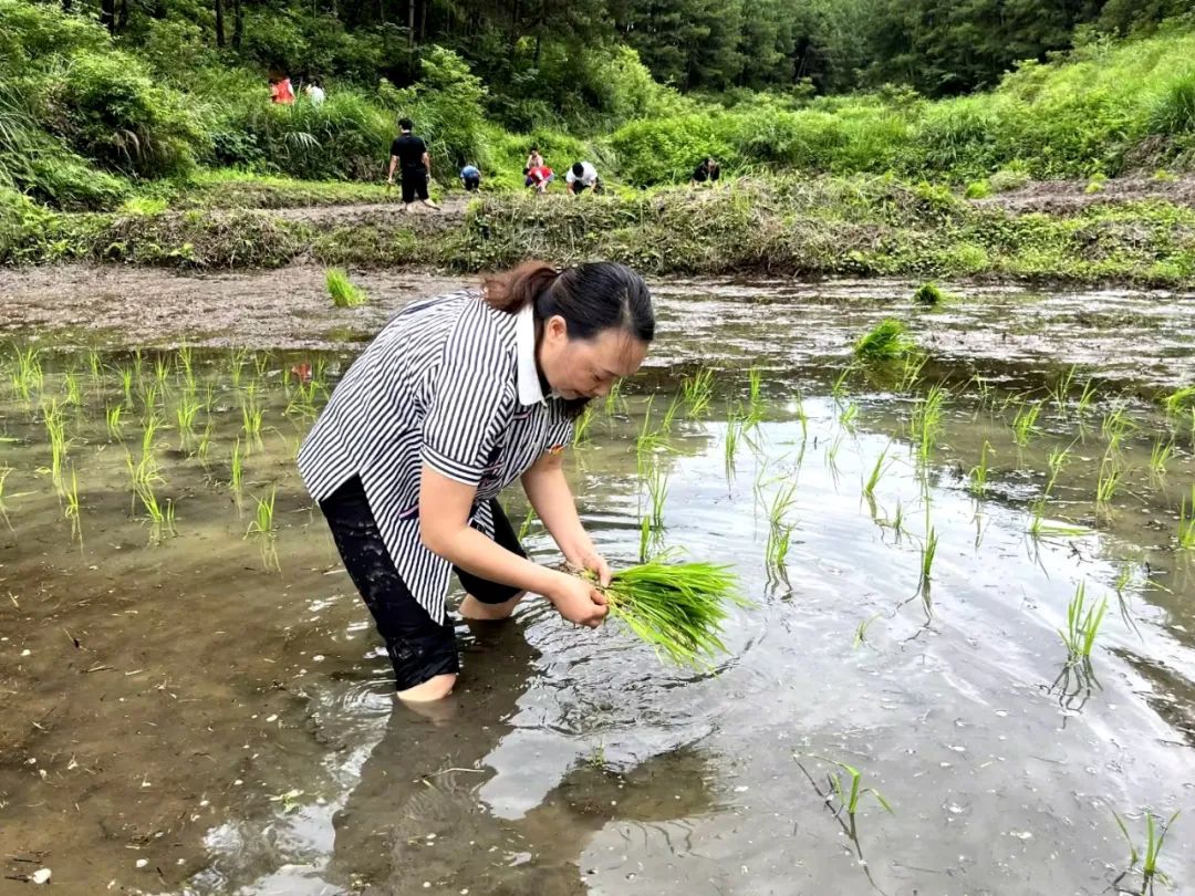 百名职业女性风采展丨最美巾帼建功标兵严敏：奋战第一线 巾帼何须让须眉