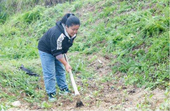 巾帼风采丨松桃县基层妇女干部撑起乡村振兴“半边天”