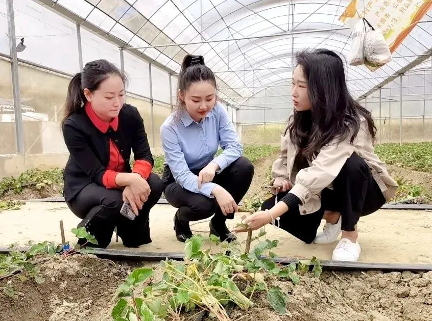 【下基层·访妇情】铜仁市妇联深入碧江区万山区江口县调研督导