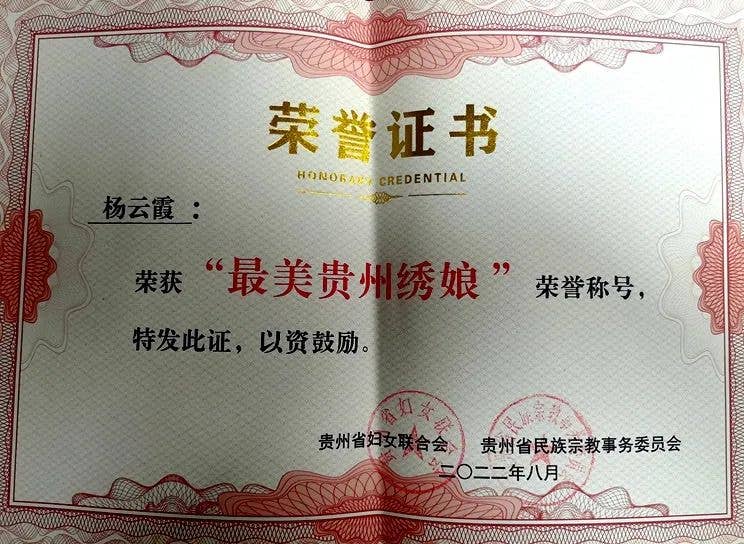 【百名职业女性风采展】最美贵州绣娘:杨云霞
