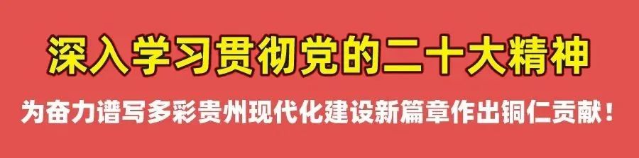 铜仁市妇联深入学习贯彻党的二十大精神