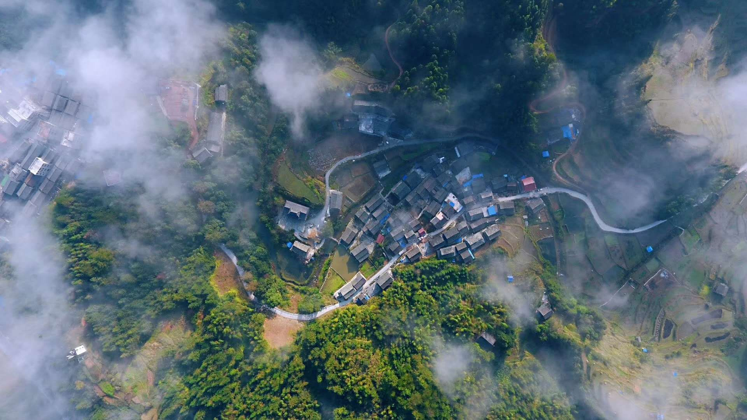 【美丽家园•美丽庭院】回顾2021：诗与画的庭院，你和我的乡村