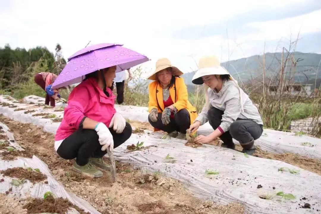 “她力量”释放“大能量”，铜仁这支女子先锋队棒棒哒