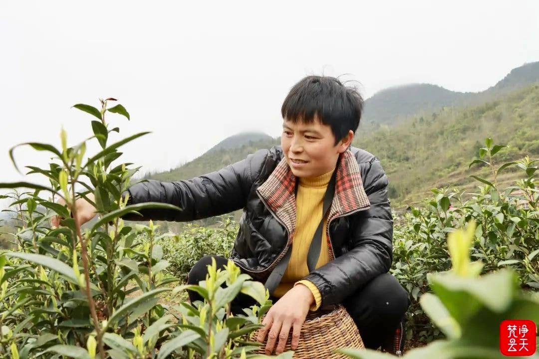 【致敬2022贵州省道德模范】冉琴：柔肩挑重担 撑起一片“艳阳天”