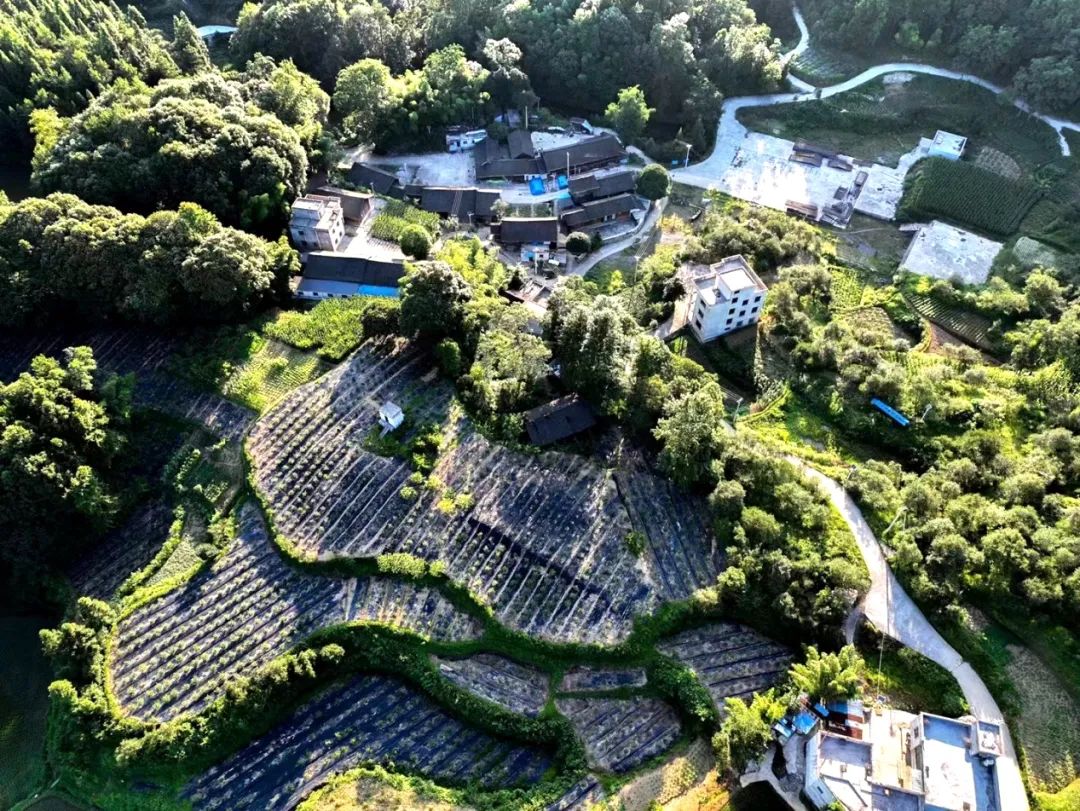 美丽家园·美丽庭院——碧江区高坝田村