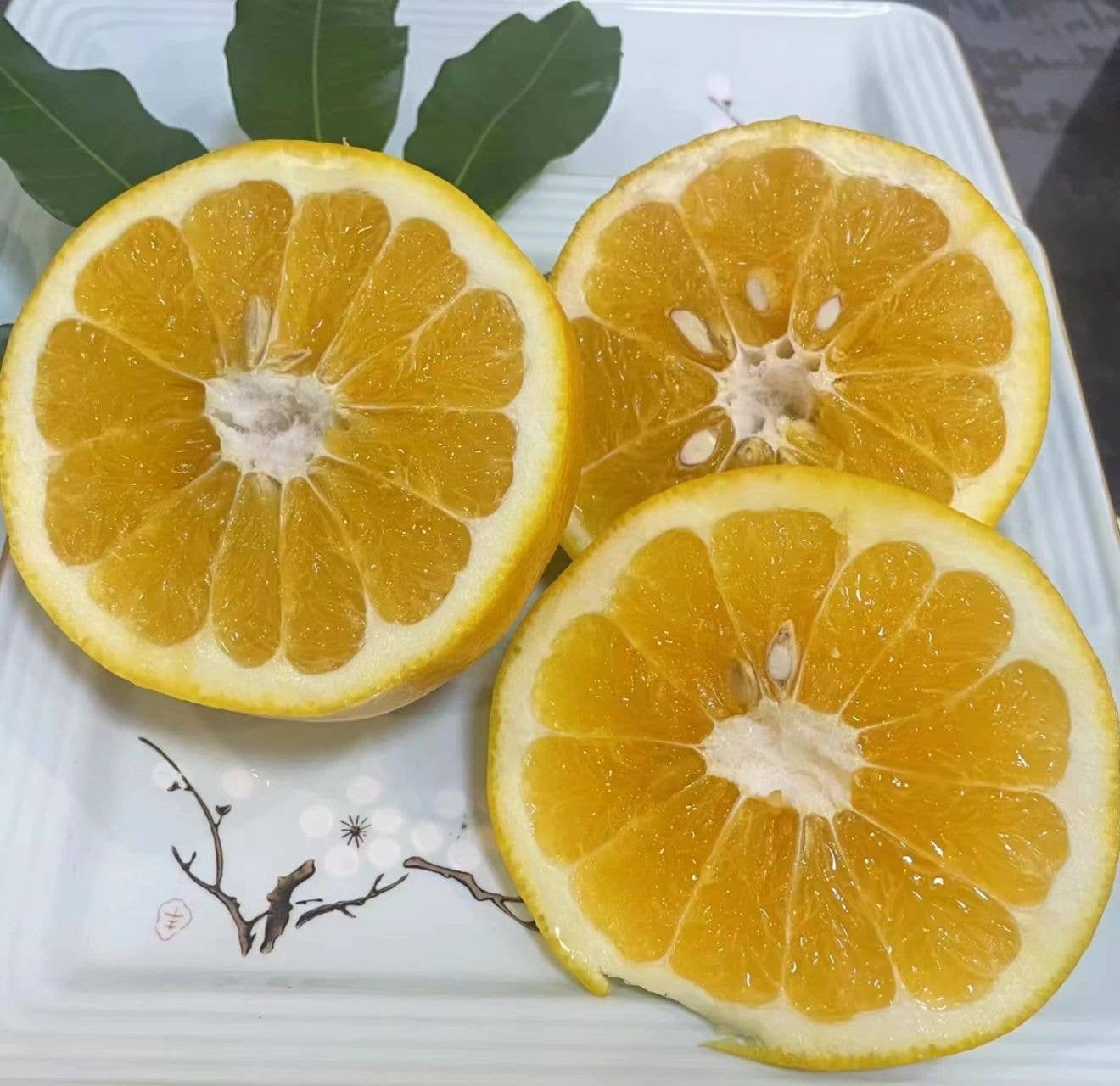 【基层动态】松桃县妇联助农直播“柚”滋“柚”味