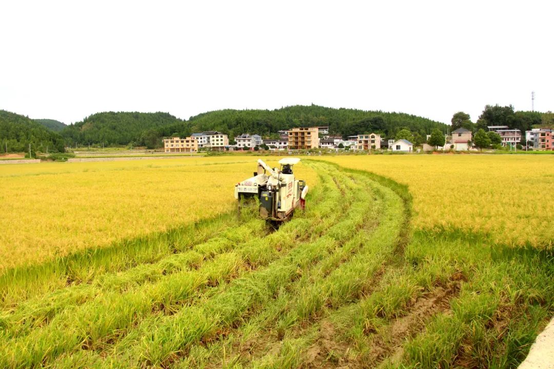 【美丽家园·美丽庭院】玉屏县：新店镇沙水坪村