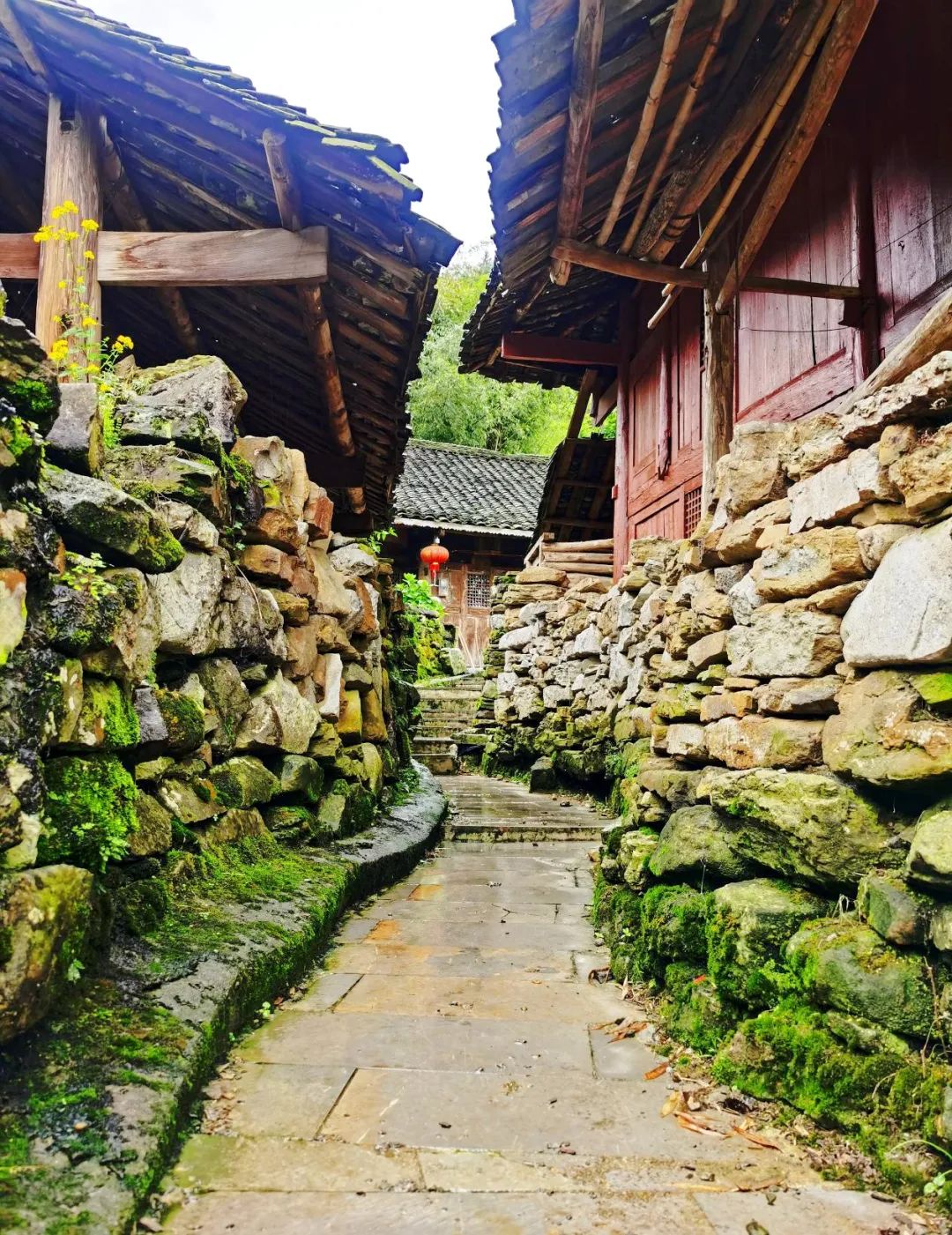 【美丽家园·美丽庭院】德江县：沙溪乡大寨村