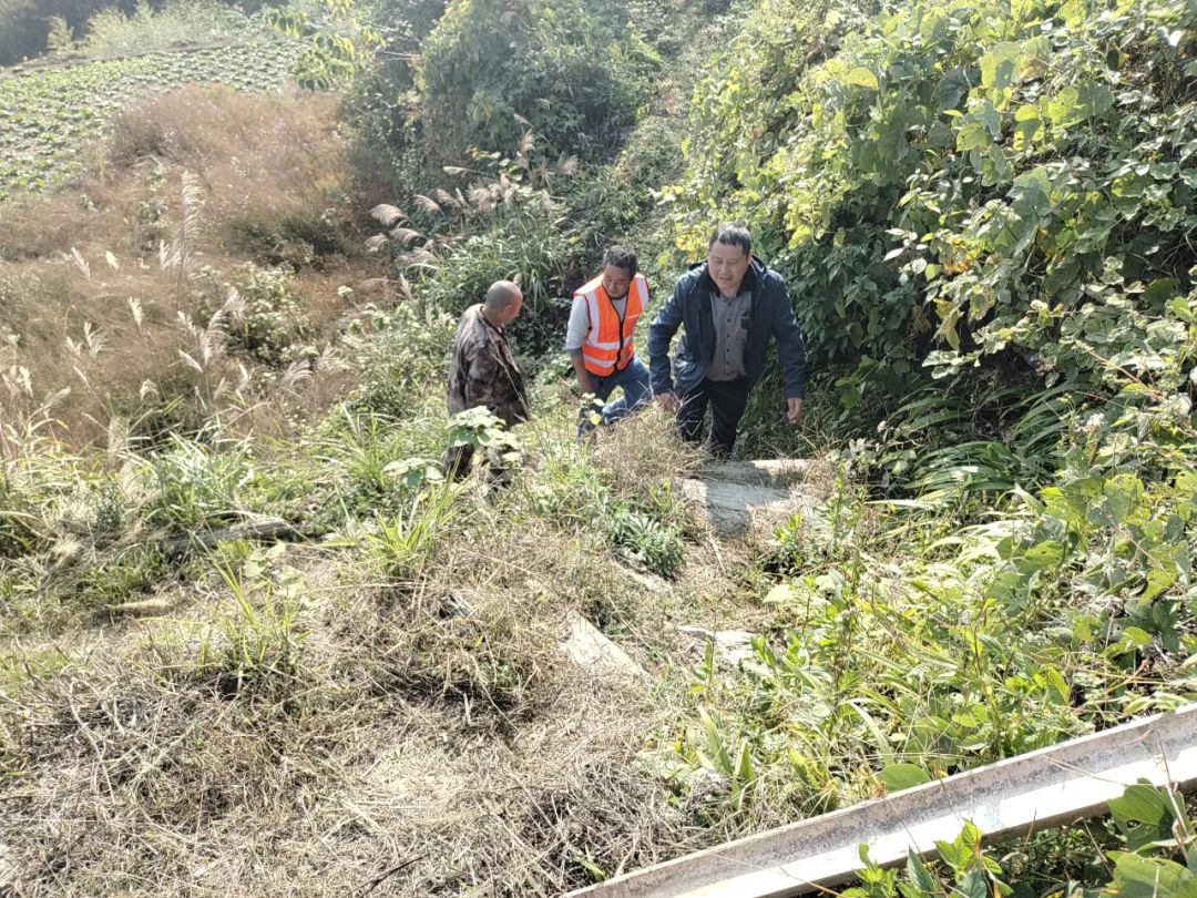 【铜仁市“最美家庭”】曾祥华家庭：梵净山下生态卫士，夫妻携手守护生态